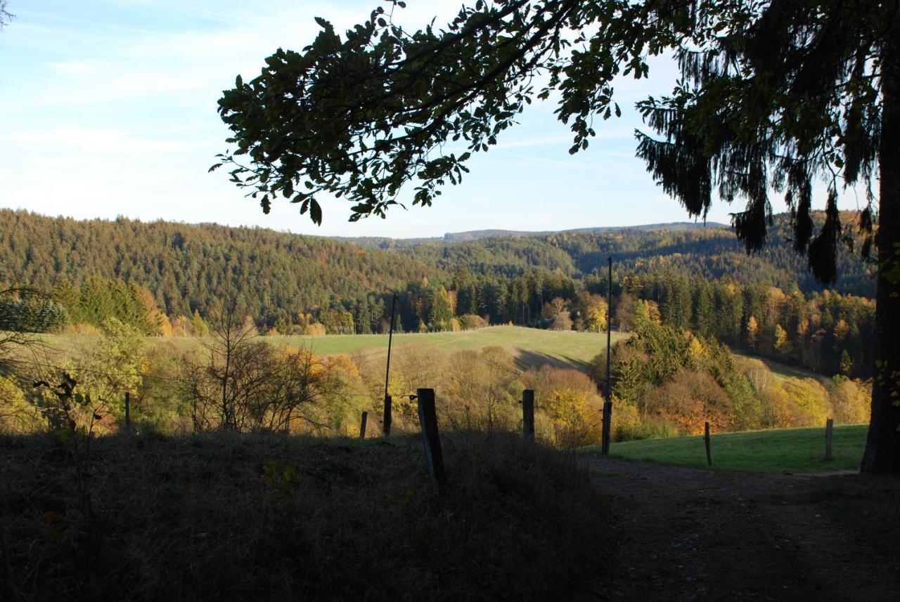 Ferienoase Hinterhermsdorf Exteriér fotografie
