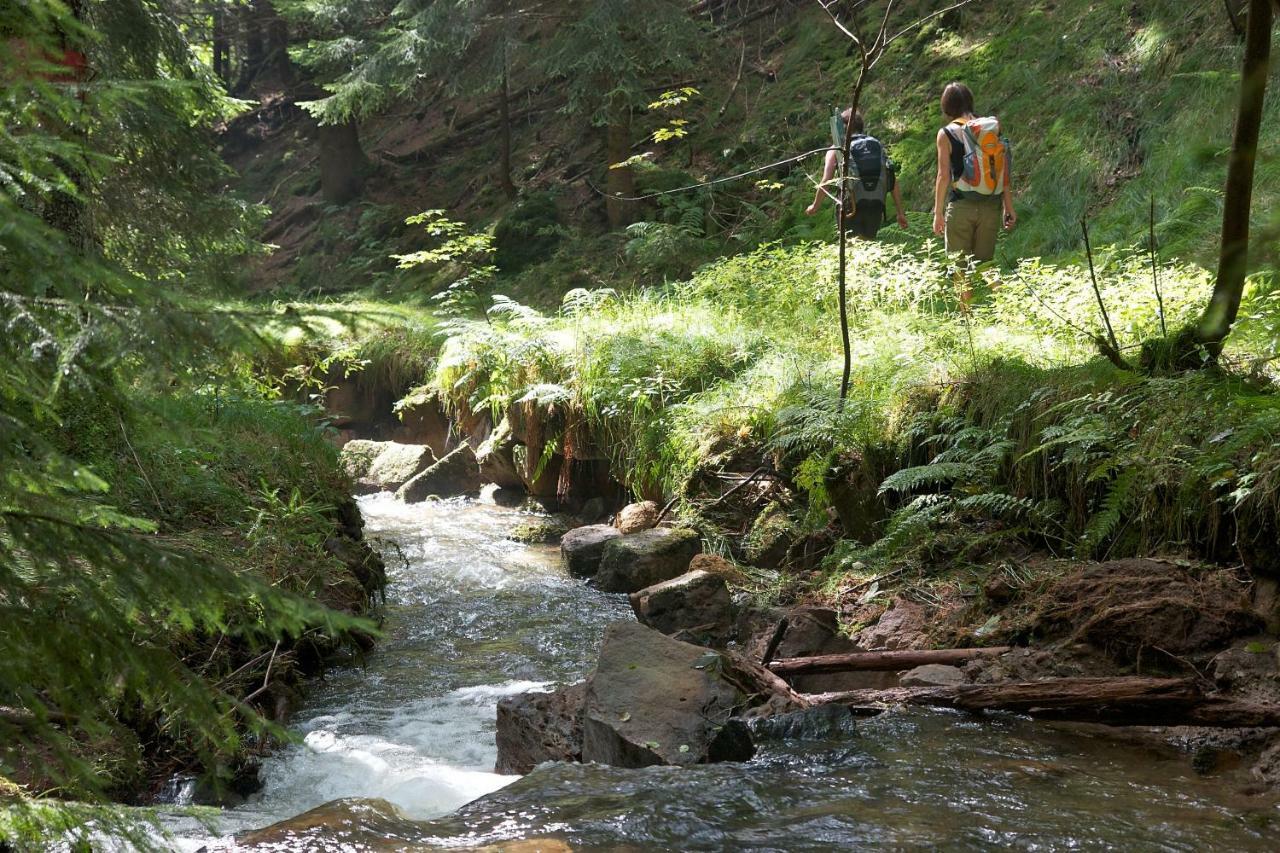 Ferienoase Hinterhermsdorf Exteriér fotografie